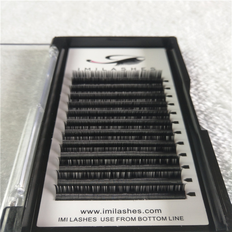Wholesale individual eyelashes with high quality with 2019 new style 